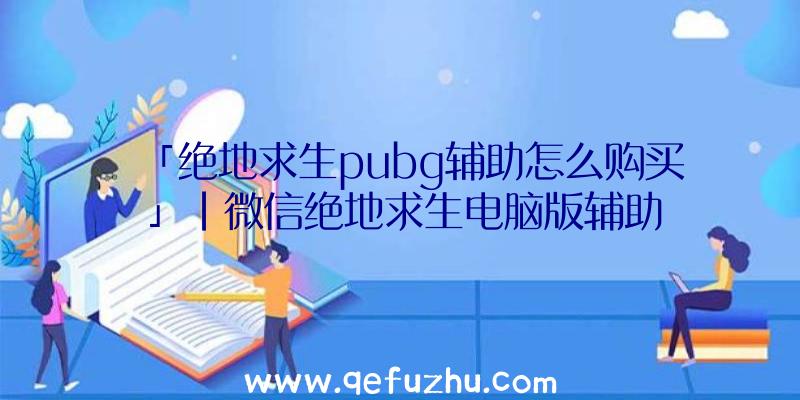 「绝地求生pubg辅助怎么购买」|微信绝地求生电脑版辅助